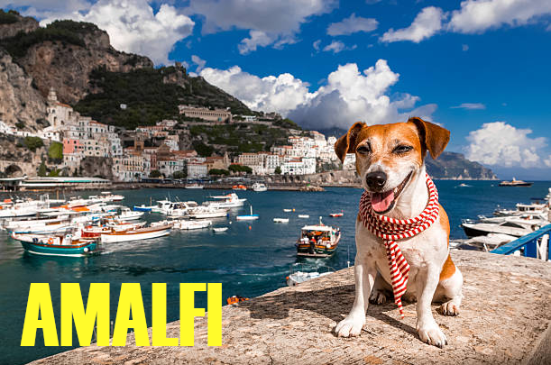 dog hotel in amalfi